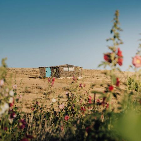 Succah In The Desert 미츠페 라몬 외부 사진