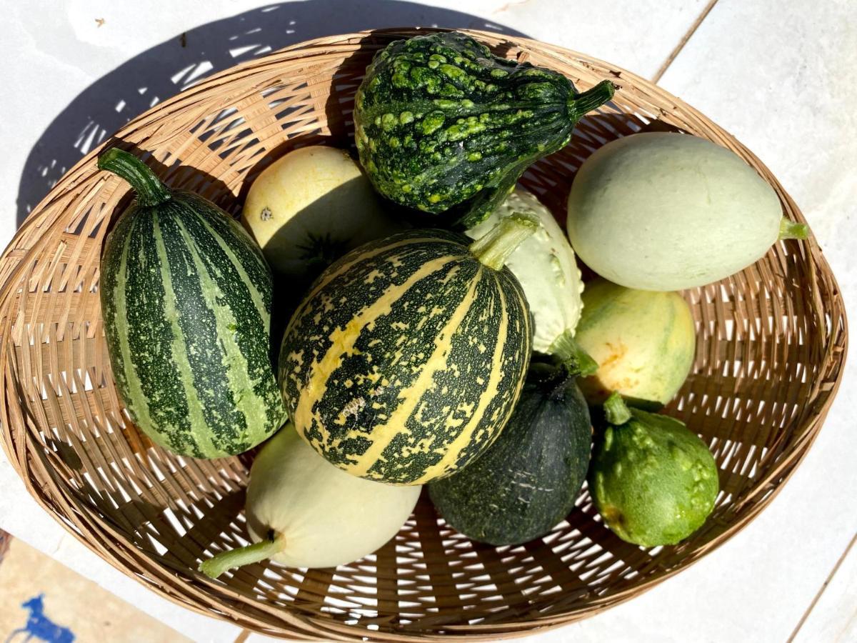 Succah In The Desert 미츠페 라몬 외부 사진