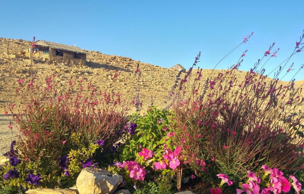 Succah In The Desert 미츠페 라몬 외부 사진
