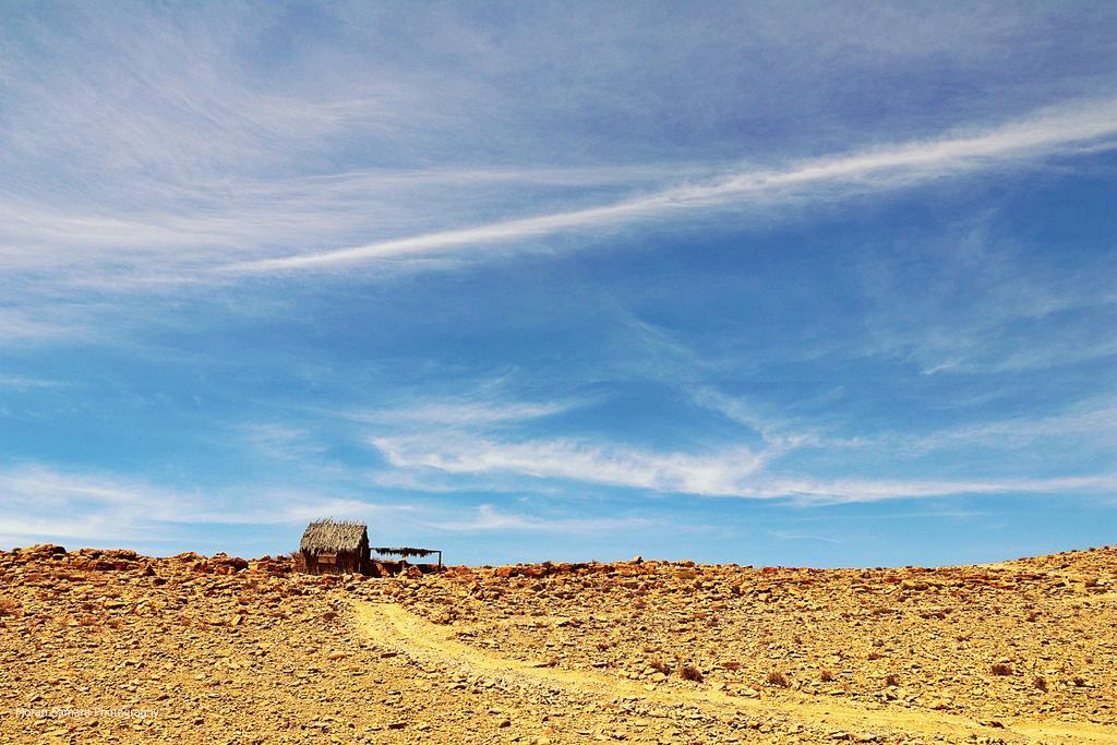 Succah In The Desert 미츠페 라몬 외부 사진