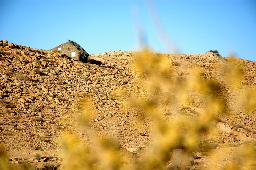 Succah In The Desert 미츠페 라몬 외부 사진