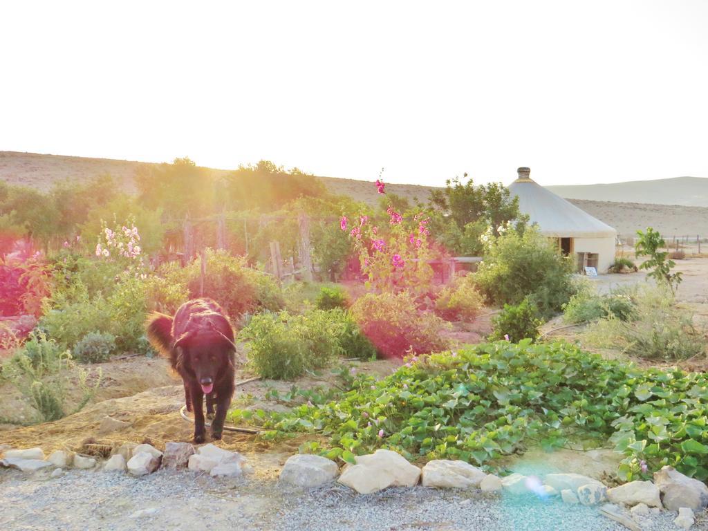 Succah In The Desert 미츠페 라몬 외부 사진