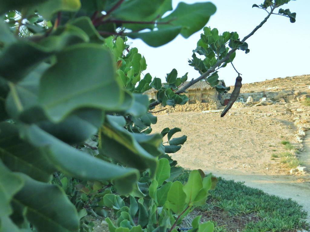 Succah In The Desert 미츠페 라몬 외부 사진
