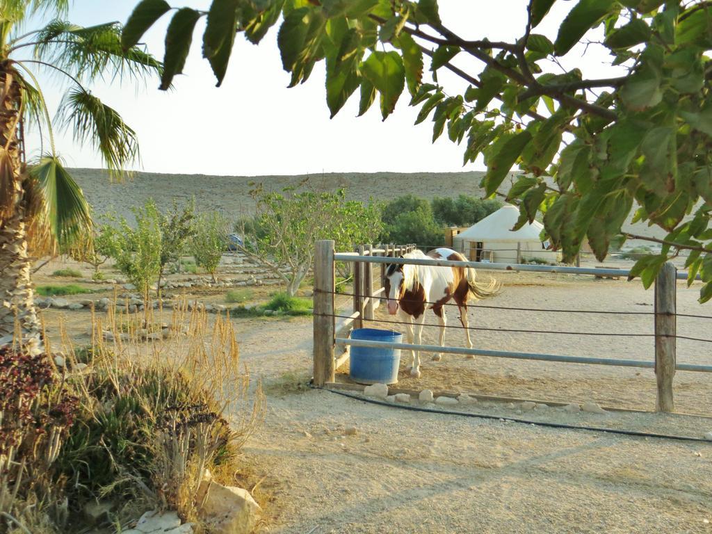 Succah In The Desert 미츠페 라몬 외부 사진