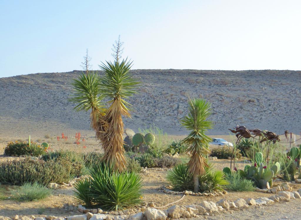 Succah In The Desert 미츠페 라몬 외부 사진