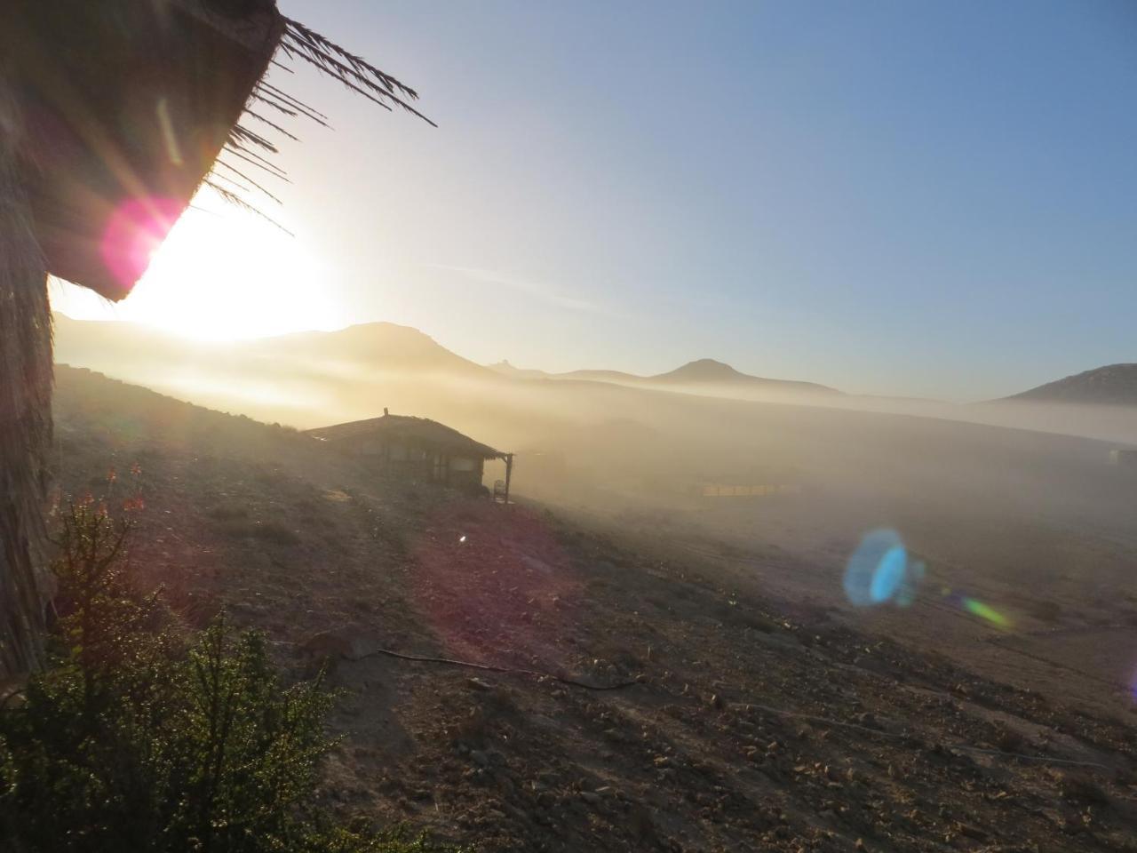 Succah In The Desert 미츠페 라몬 외부 사진