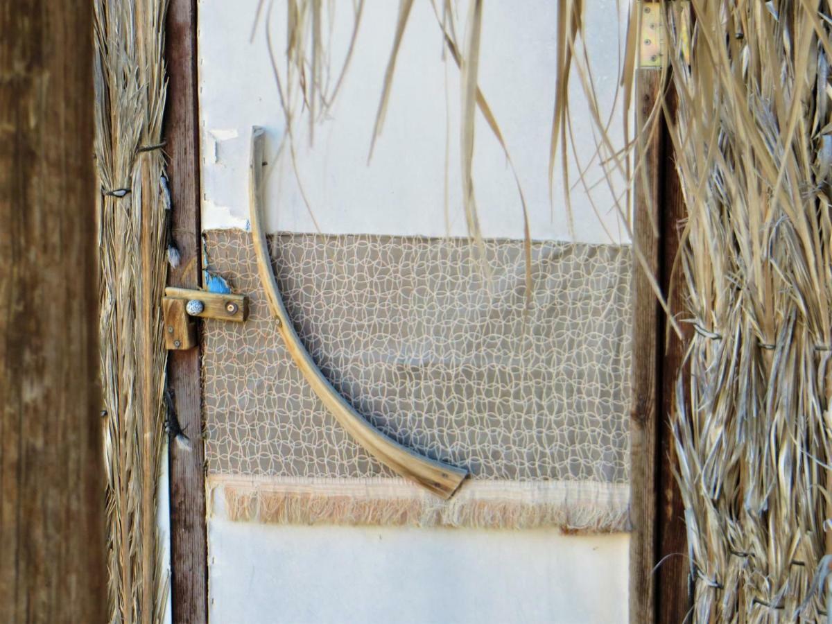 Succah In The Desert 미츠페 라몬 외부 사진